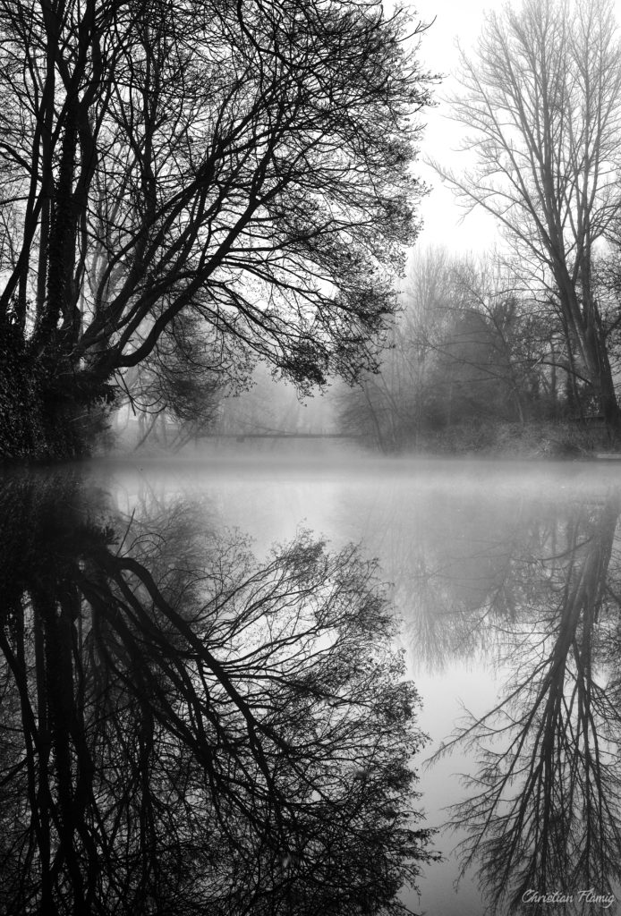 Morgendlicher Nebel über der Oker