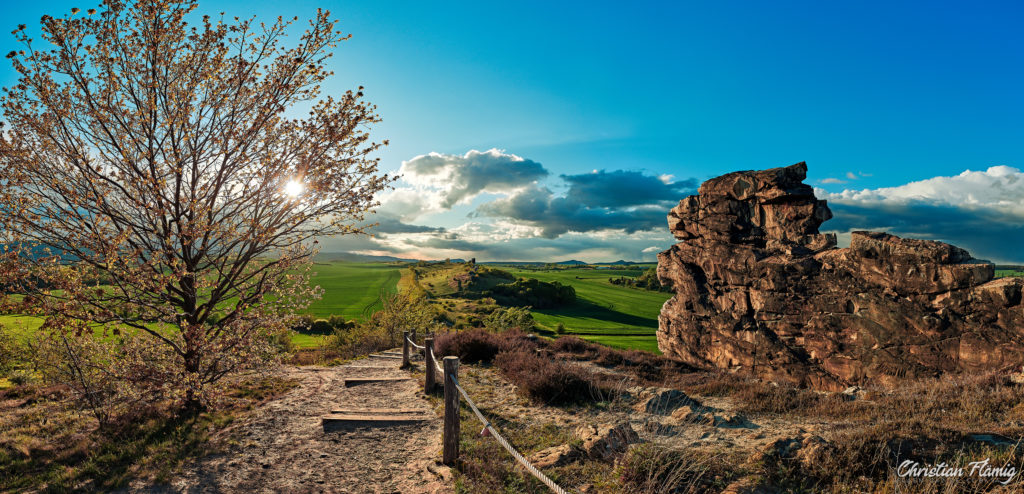 Panorama